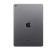 Apple iPad